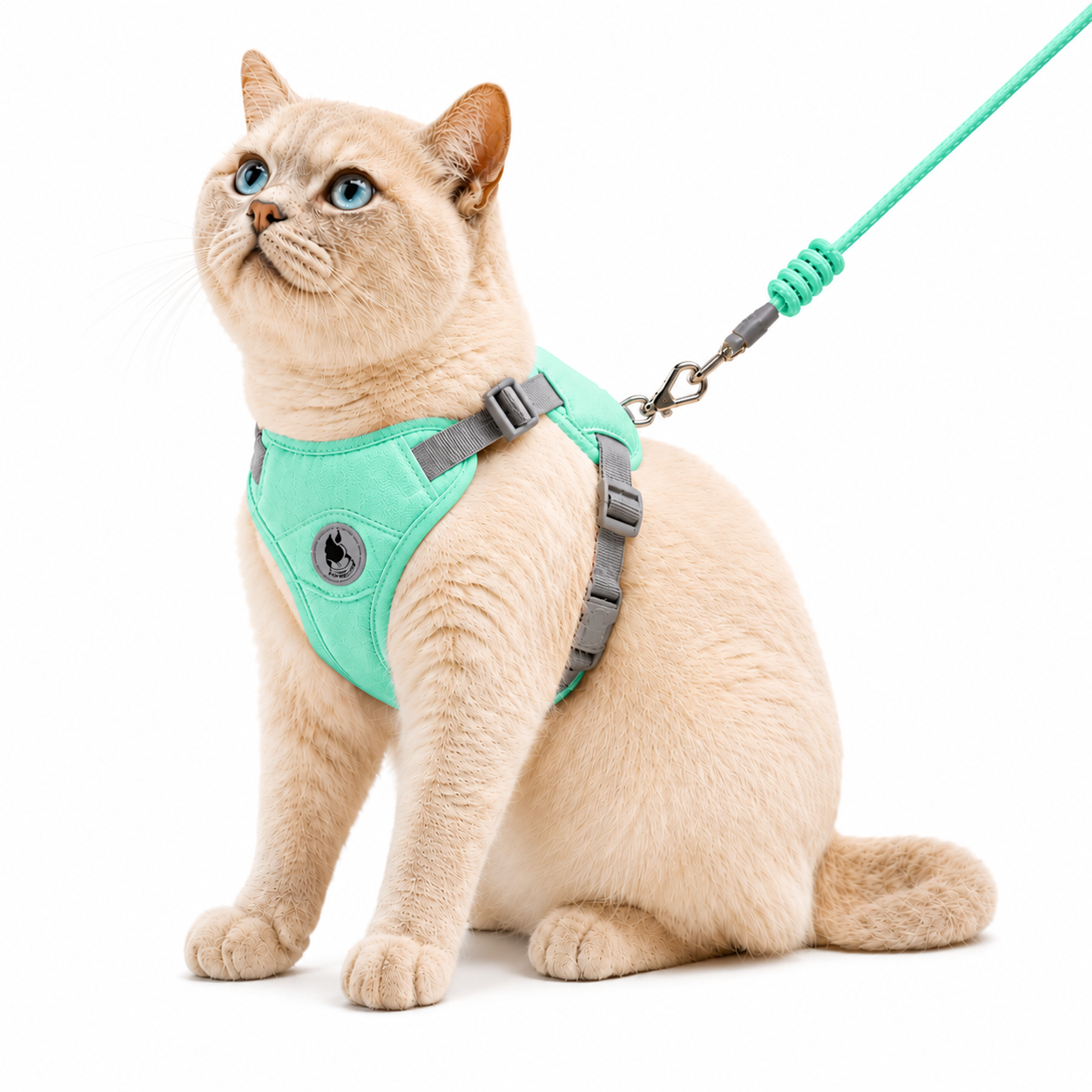 Arnés Premium para Gatos