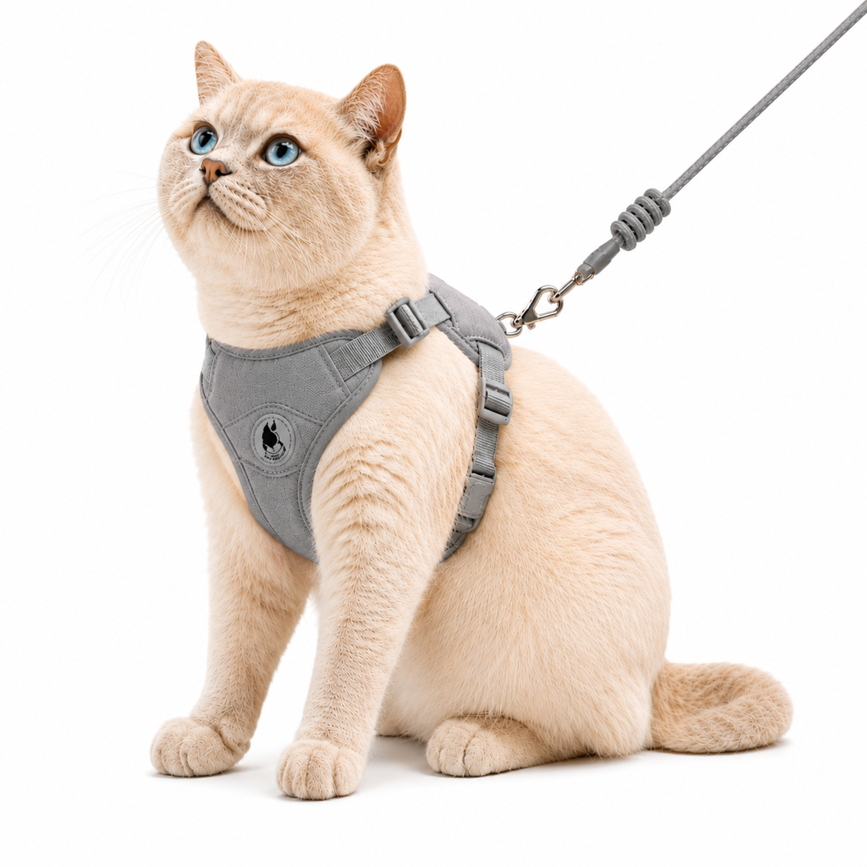 Arnés Premium para Gatos