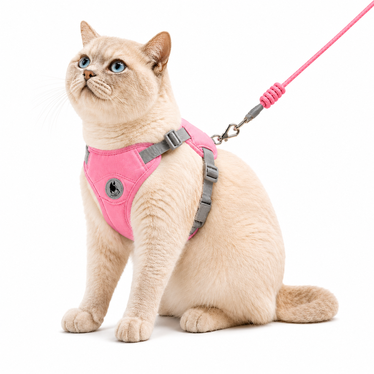 Arnés Premium para Gatos