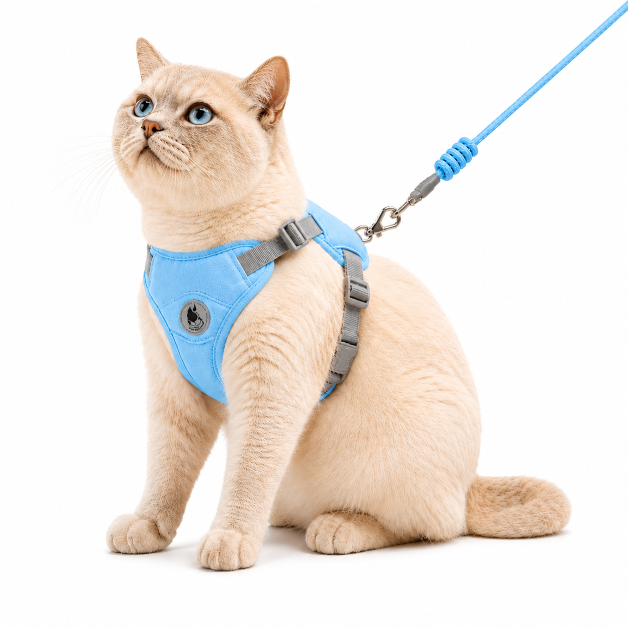 Arnés Premium para Gatos