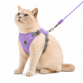 Arnés Premium para Gatos