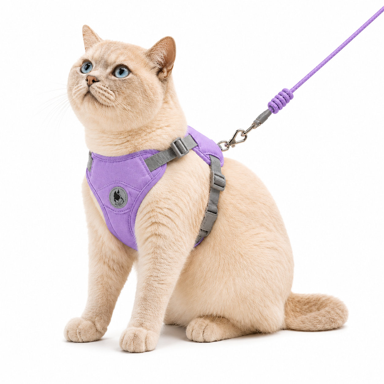 Arnés Premium para Gatos