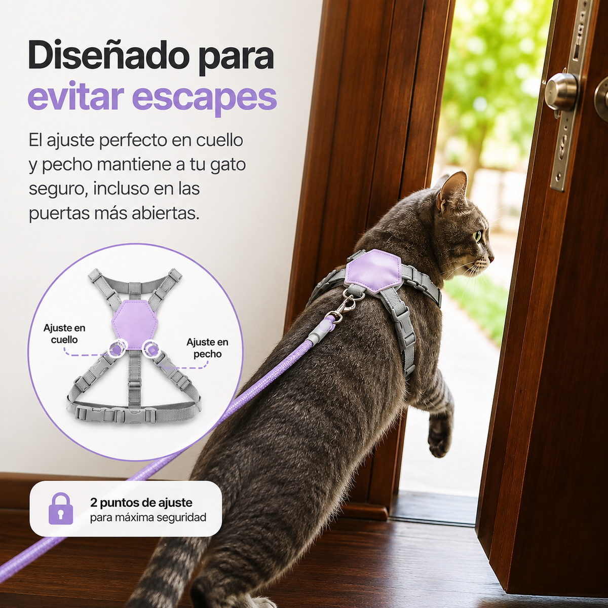 Arnés Antiescape para Gatos | MISHIKO
